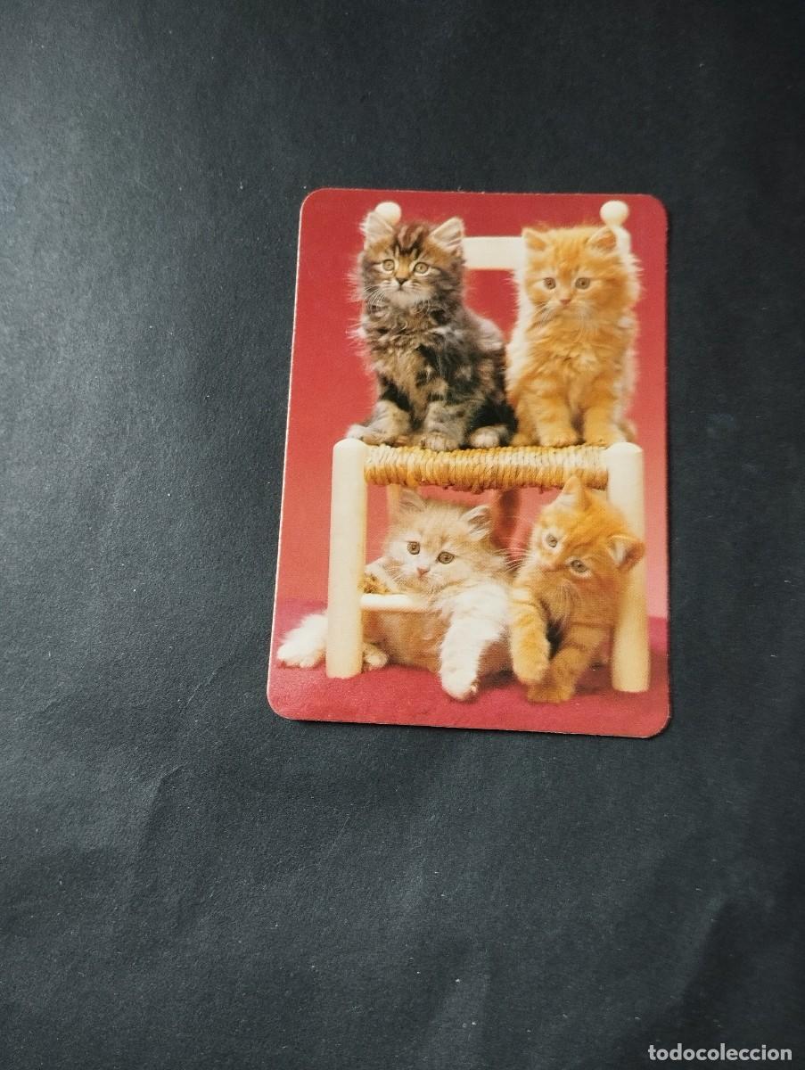 Coleccionismo calendarios: CALENDARIO PUBLICIDAD DEL A&Ntilde;O 1995 - EL DE LA FOTOS VER TODOS MIS CALENDARIOS