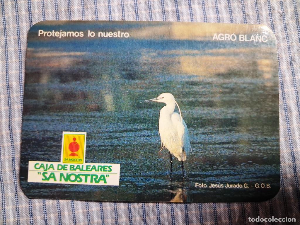 Sammeln von Kalendern: Calendario Caja de Baleares Sa Nostra. Agr&oacute; blanc. A&ntilde;o 1985. Serie Aves. Estado ver imagen