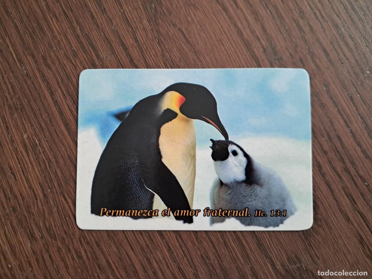 Coleccionismo calendarios: calendario de Per&uacute;, tipo religioso, con frase, imagen de ping&uuml;inos, a&ntilde;o 2006.