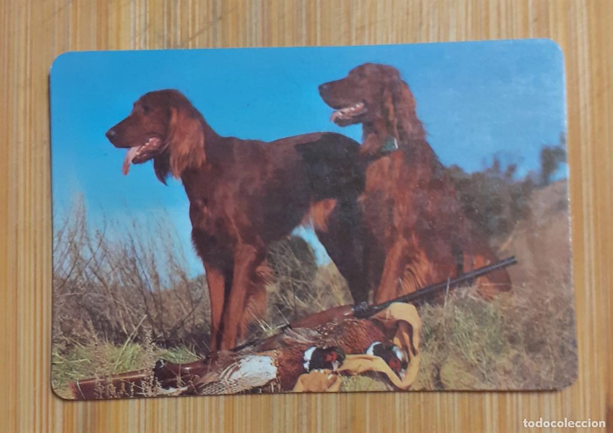Coleccionismo calendarios: CALENDARIO BOLSILLO PERROS CAZA 1986