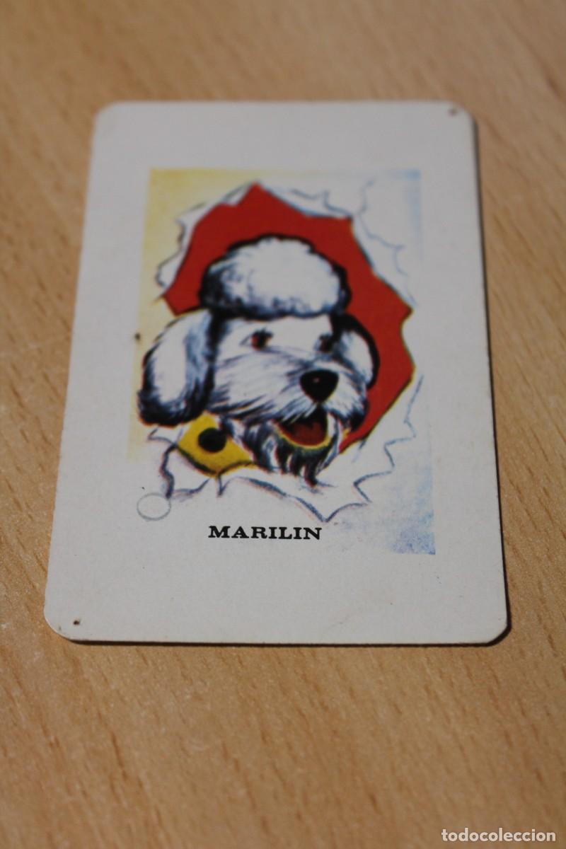 Coleccionismo calendarios: CALENDARIO DE BOLSILLO. A&Ntilde;O 1974. NAIPES COMAS. PERRITA MARILIN. Ver fotos.