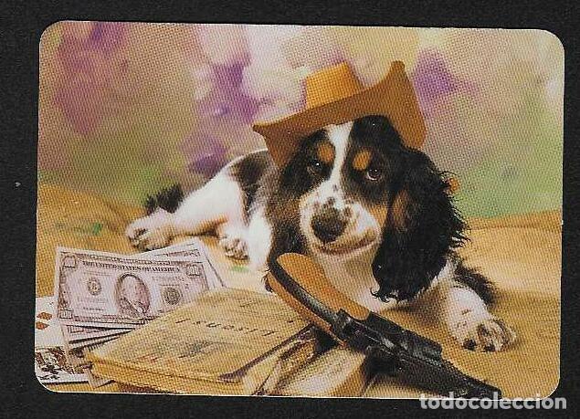 Coleccionismo calendarios: CALENDARIO BOLSILLO A&Ntilde;O 2005 PERRO - BILLETES ... - FUEGOS ARTIFICALES PEIRO - VER FOTO REVERSO