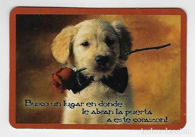 Coleccionismo calendarios: CALENDARIO BOLSILLO A&Ntilde;O 2012 PERRO - FRASE - CON PUBLICIDAD - VER FOTO REVERSO