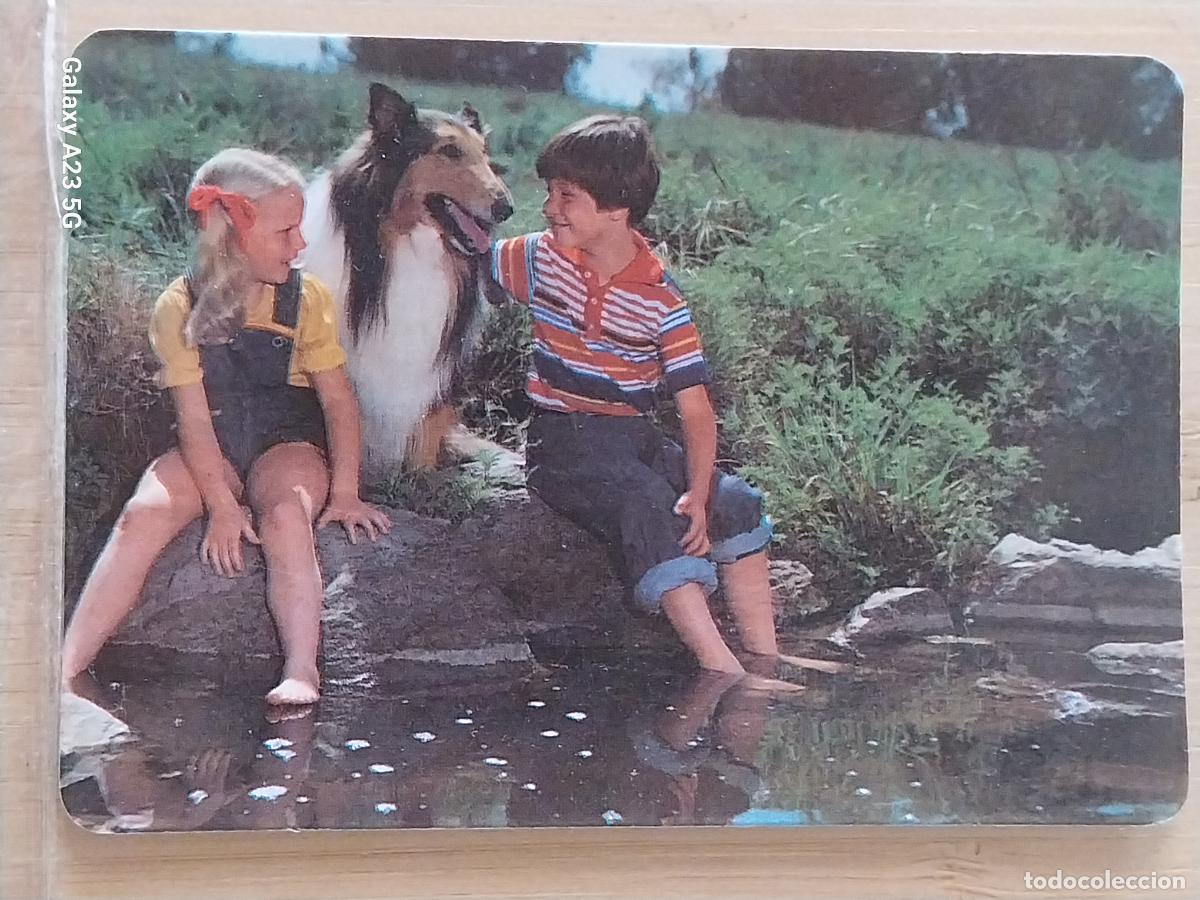Coleccionismo calendarios: PERRO NI&Ntilde;OS CALENDARIO 1989 PUBLI POLLERIAS HNOS CASTILLO REF MP 7 ****