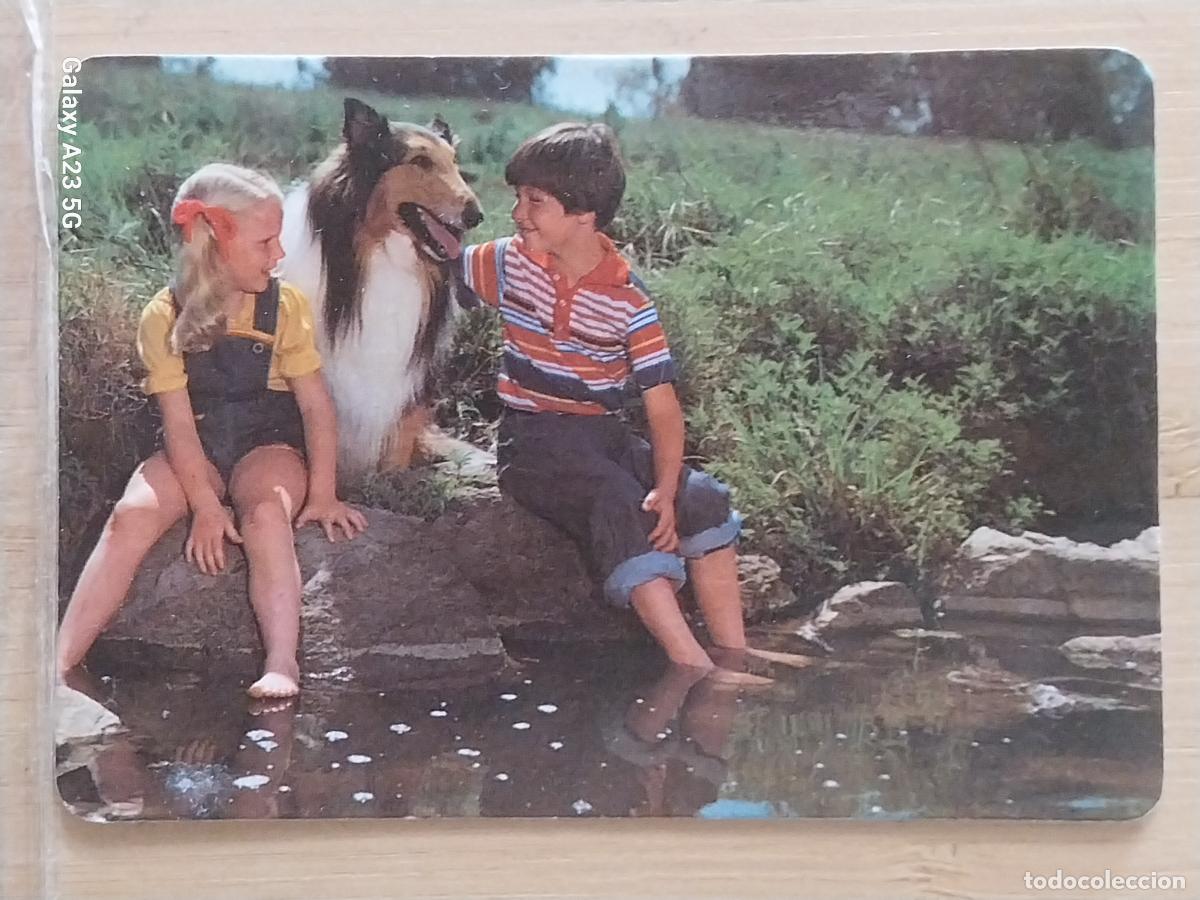 Coleccionismo calendarios: PERRO NI&Ntilde;OS CALENDARIO 1989 PUBLI POLLERIAS HNOS CASTILLO REF MP 7 **