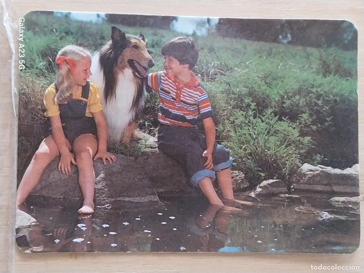 Coleccionismo calendarios: PERRO NI&Ntilde;OS CALENDARIO 1989 PUBLI POLLERIAS HNOS CASTILLO REF MP 7 *