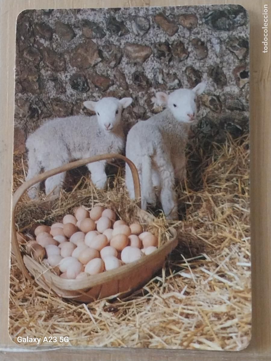 Coleccionismo calendarios: CORDEROS CESTA HUEVOS CALENDARIO 1989 PUBLI POLLERIAS HNOS CASTILLO MP 9 **