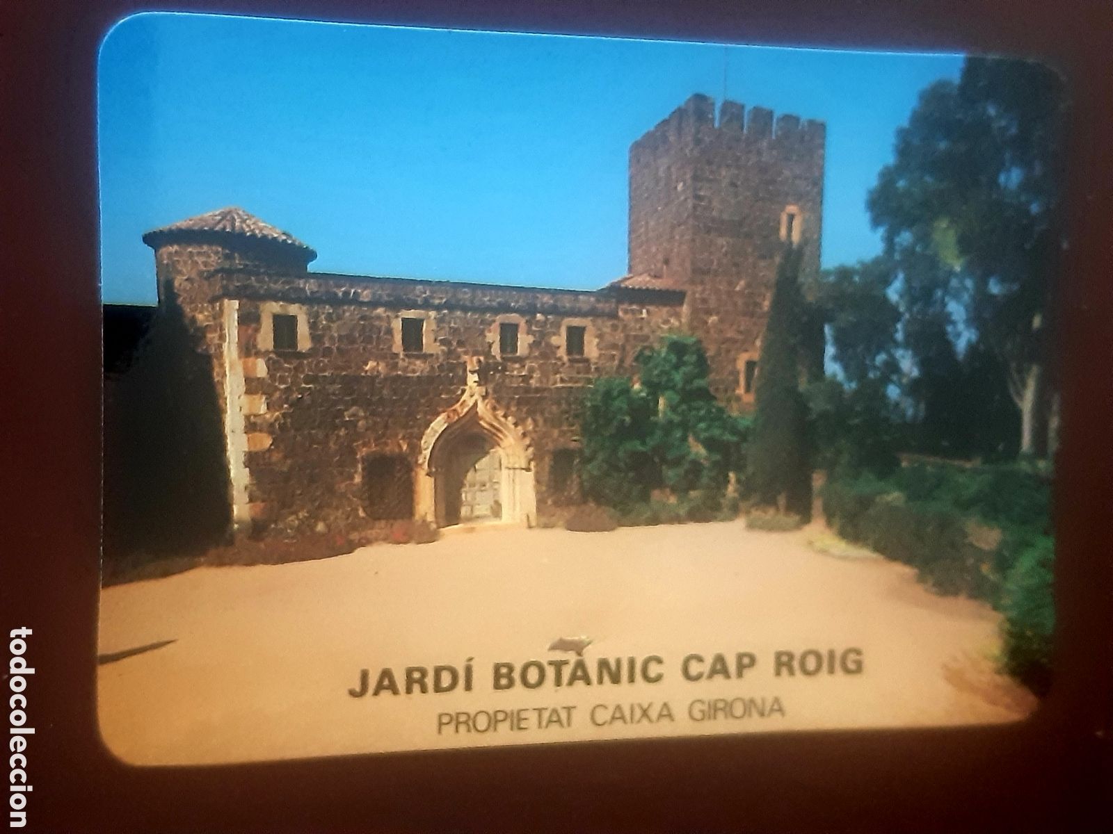 Coleccionismo calendarios: Calendario Caixa de Girona 1988