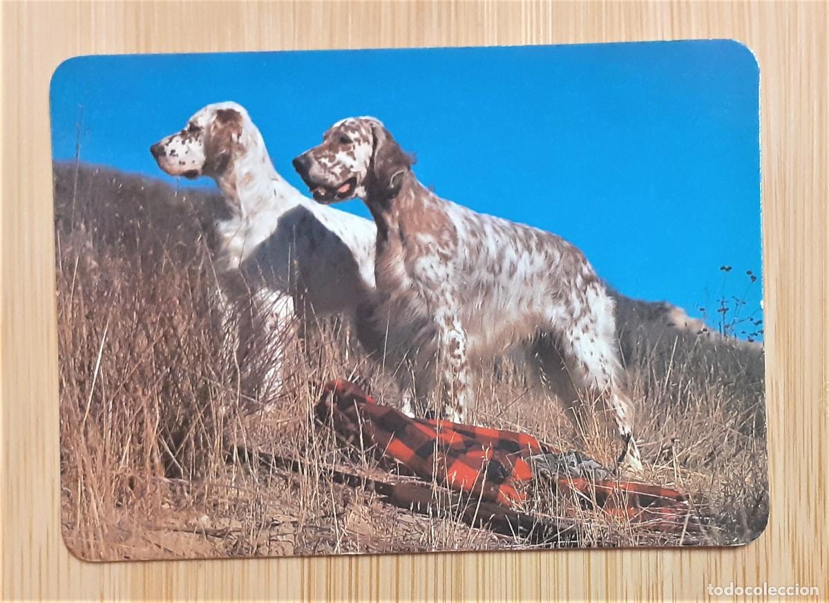 Coleccionismo calendarios: CALENDARIO BOLSILLO PERROS CAZA 1992