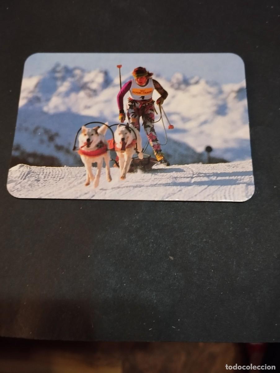 Coleccionismo calendarios: CALENDARIO PUBLICIDAD DEL A&Ntilde;O 1995 - EL DE LA FOTOS VER TODOS MIS CALENDARIOS