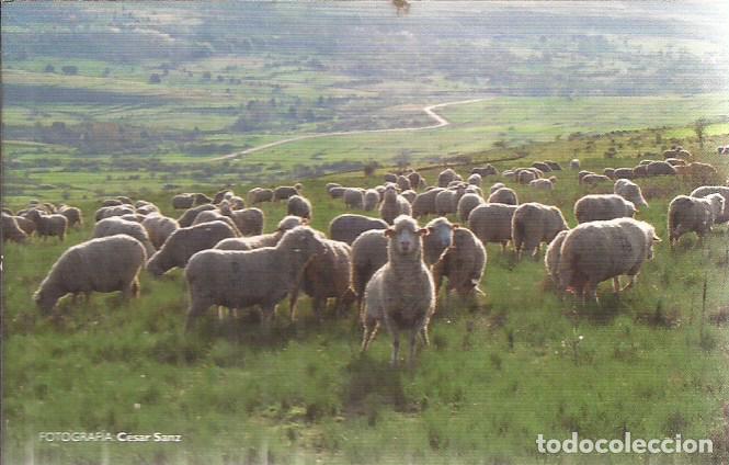 Coleccionismo calendarios: CALENDARIO PUBLICIDAD TURISMO TIERRA SALTAS 2007
