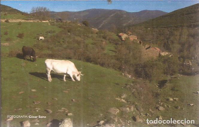 Coleccionismo calendarios: CALENDARIO PUBLICIDAD TURISMO TIERRA SALTAS 2007