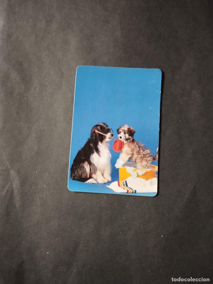 Coleccionismo calendarios: CALENDARIO PUBLICIDAD DEL A&Ntilde;O 1992 - EL DE LA FOTOS VER TODOS MIS CALENDARIOS