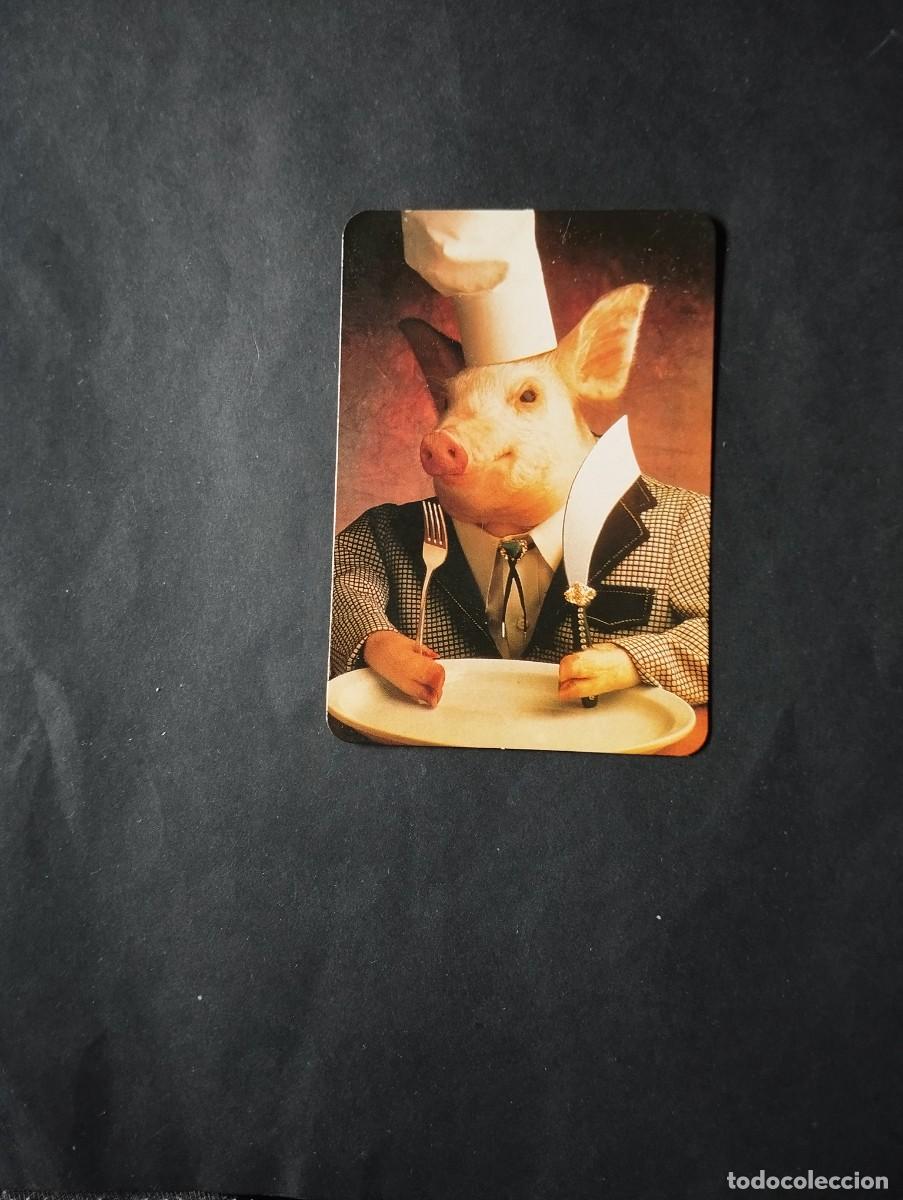 Coleccionismo calendarios: CALENDARIO PUBLICIDAD DEL A&Ntilde;O 1996 - EL DE LA FOTOS VER TODOS MIS CALENDARIOS