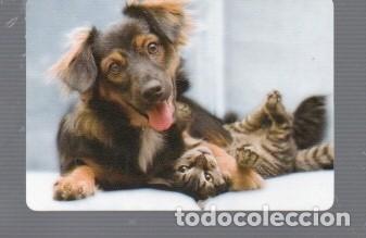 Coleccionismo calendarios: CALENDARIO DE PERRO Y GATO DEL A&Ntilde;O 2014 CASA C.B. N&ordm;61 SIN PUBLICIDAD