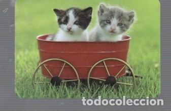 Coleccionismo calendarios: CALENDARIO DE GATOS DEL A&Ntilde;O 2015 CASA .BO. N&ordm;534 SIN PUBLICIDAD