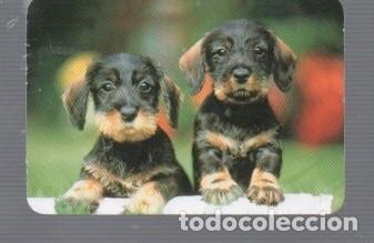 Coleccionismo calendarios: CALENDARIO DE PERROS DEL A&Ntilde;O 2012 CASA EGC N&ordm;28 PUBLICIDAD EL SASTRE GETAFE