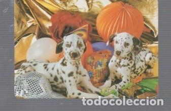 Coleccionismo calendarios: CALENDARIO DE PERROS DEL A&Ntilde;O 2012 CASA C.B. N&ordm; 55 PUBLICIDAD STETICAN GETAFE