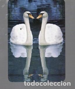 Coleccionismo calendarios: CALENDARIO DE CISNES DEL A&Ntilde;O 2015 CASA BO N&ordm; 528 PUBLICIDAD AEDOPAT BARNA