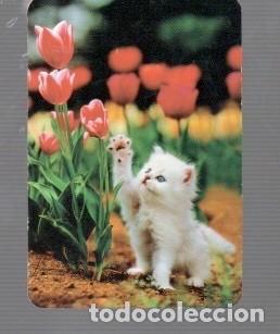 Coleccionismo calendarios: CALENDARIO DE GATO DEL A&Ntilde;O 2011 CASA BO N&ordm; 533 PUBLICIDAD LA ALIANZA SEGUROS REUS