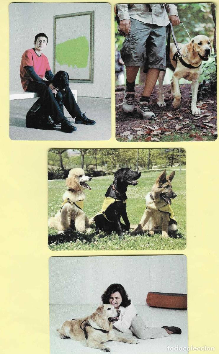 Coleccionismo calendarios: 4 CALENDARIOS BOLSILLO A&Ntilde;O 2014 FUNDACI&Oacute;N ONCE DEL PERRO-GU&Iacute;A - VER FOTO REVERSOS