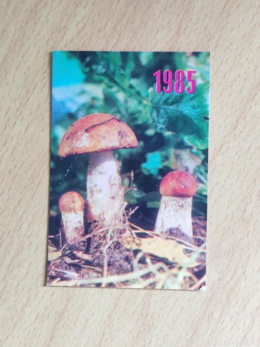 Coleccionismo calendarios: CALENDARIO BOLSILLO - 1985 UCRANIA URSS - SETAS