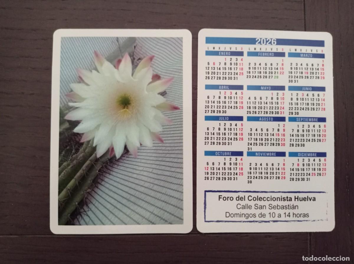 Coleccionismo calendarios: CALENDARIO PUBLICITARIO. FORO DEL COLECCIONISTA HUELVA. A&Ntilde;O 2026