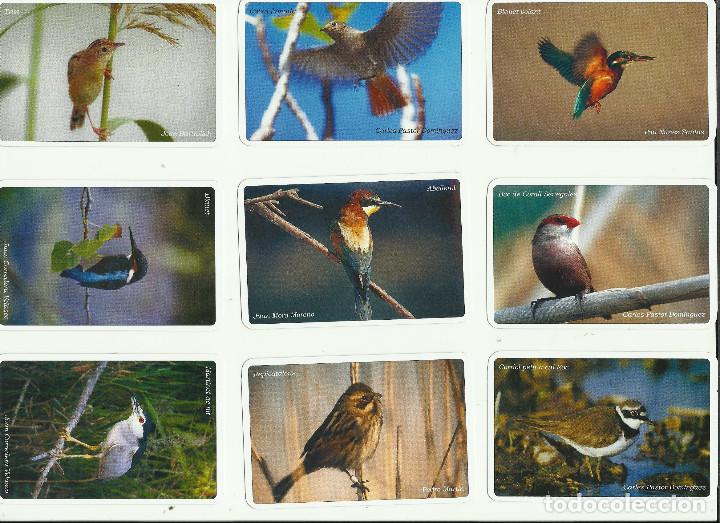 Coleccionismo deportivo: BONITA COLECCION DE PAJAROS DE 2007 - Foto 1