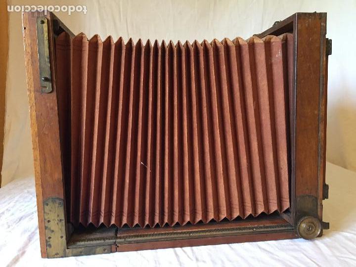 Fotokamera: C&Aacute;MARA DE FOTOS. DEMARIA LAPIERRE. ACORDE&Oacute;N