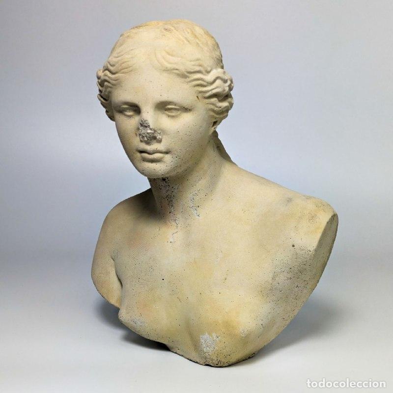 Photo camera: Escultura de Busto de la Venus de Milo