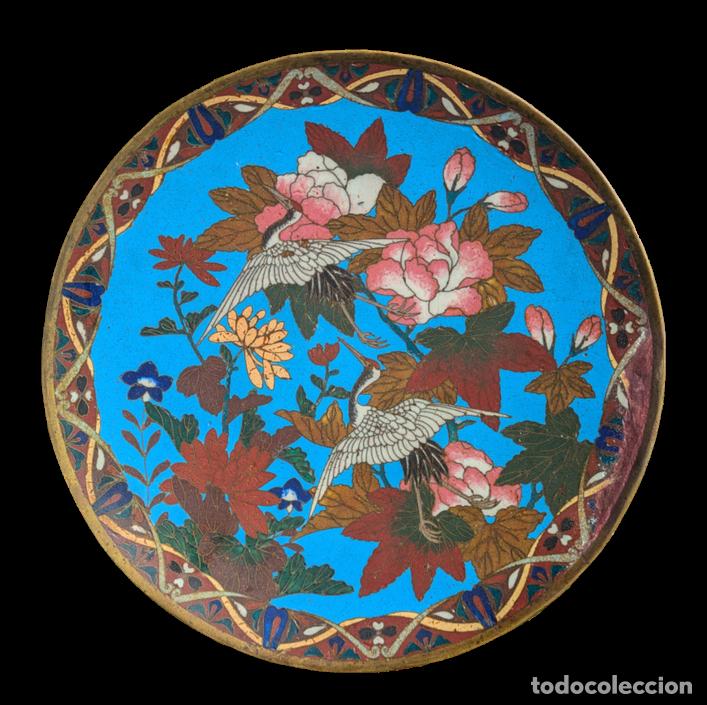 C&aacute;mara de fotos: Plato Japon&eacute;s Cloisonn&eacute; Periodo Meiji (1868-1911)