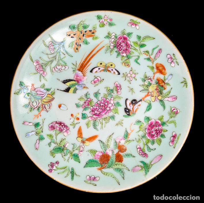 C&aacute;mara de fotos: Plato Chino Celad&oacute;n Dinast&iacute;a Qing, Daoguang (1821-1850)