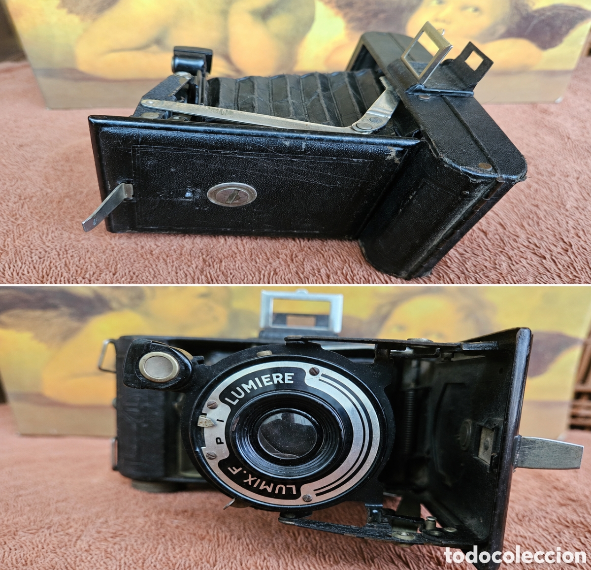 C&aacute;mara de fotos: Antigua C&aacute;mara De Fuelle LUMI&Egrave;RE LUMIX F (1949) Francia - Excelente Estado Colecci&oacute;n