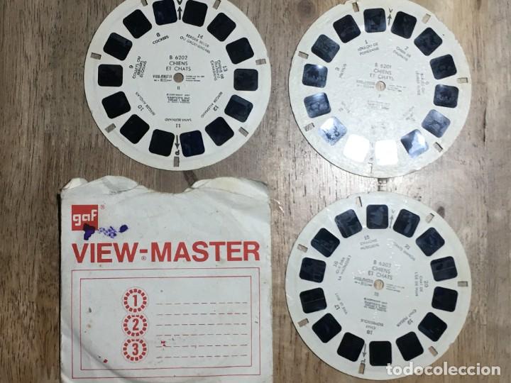 C&aacute;mara de fotos: CHIENS ET CHATS DE VIEW MASTER - Foto 1
