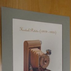 Cámara de fotos: LAMINA KODAK PROFESSIONAL . KODAK PETITE (1929 - 1933) NUMERO 730. Lote 264187512