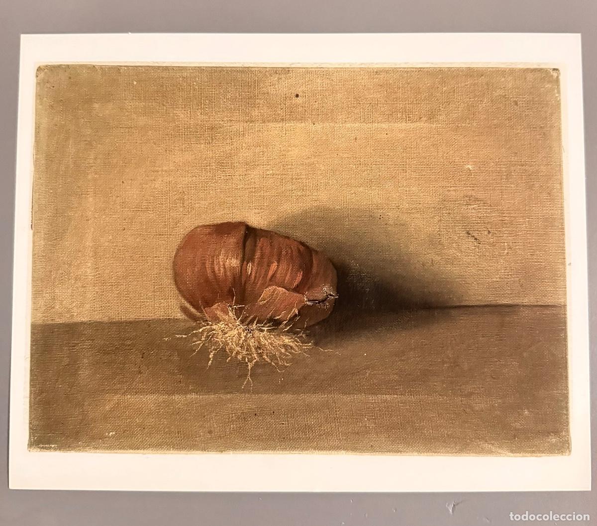 C&aacute;mara de fotos: Sin Titulo (Fotograf&iacute;a) An&oacute;nima