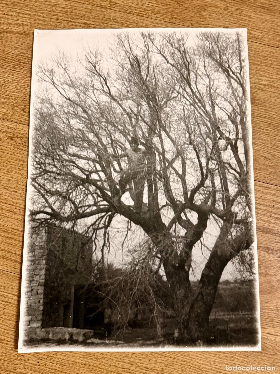 C&aacute;mara de fotos: Sin Titulo (Fotograf&iacute;a) An&oacute;nima