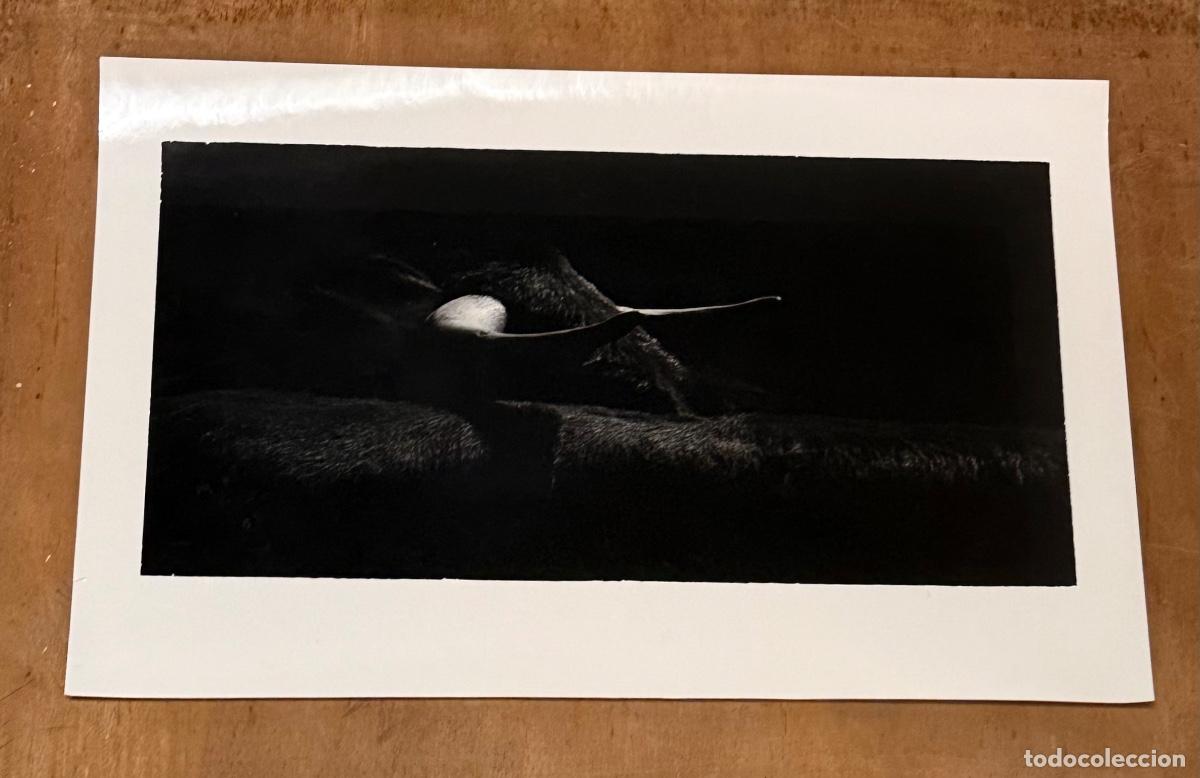 C&aacute;mara de fotos: Sin Titulo (Fotograf&iacute;a) An&oacute;nima