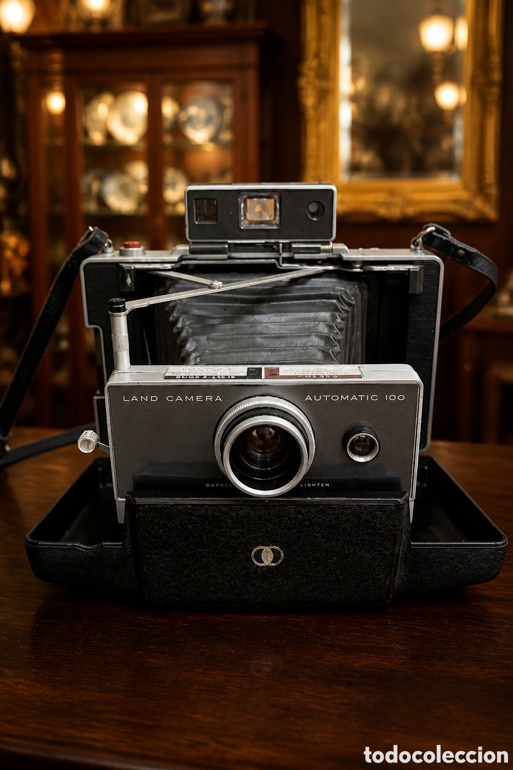 C&aacute;mara de fotos: C&aacute;mara fotogr&aacute;fica Polaroid Land Camera Automatic 100. - Dise&ntilde;o cl&aacute;sico en color plata y negro.
