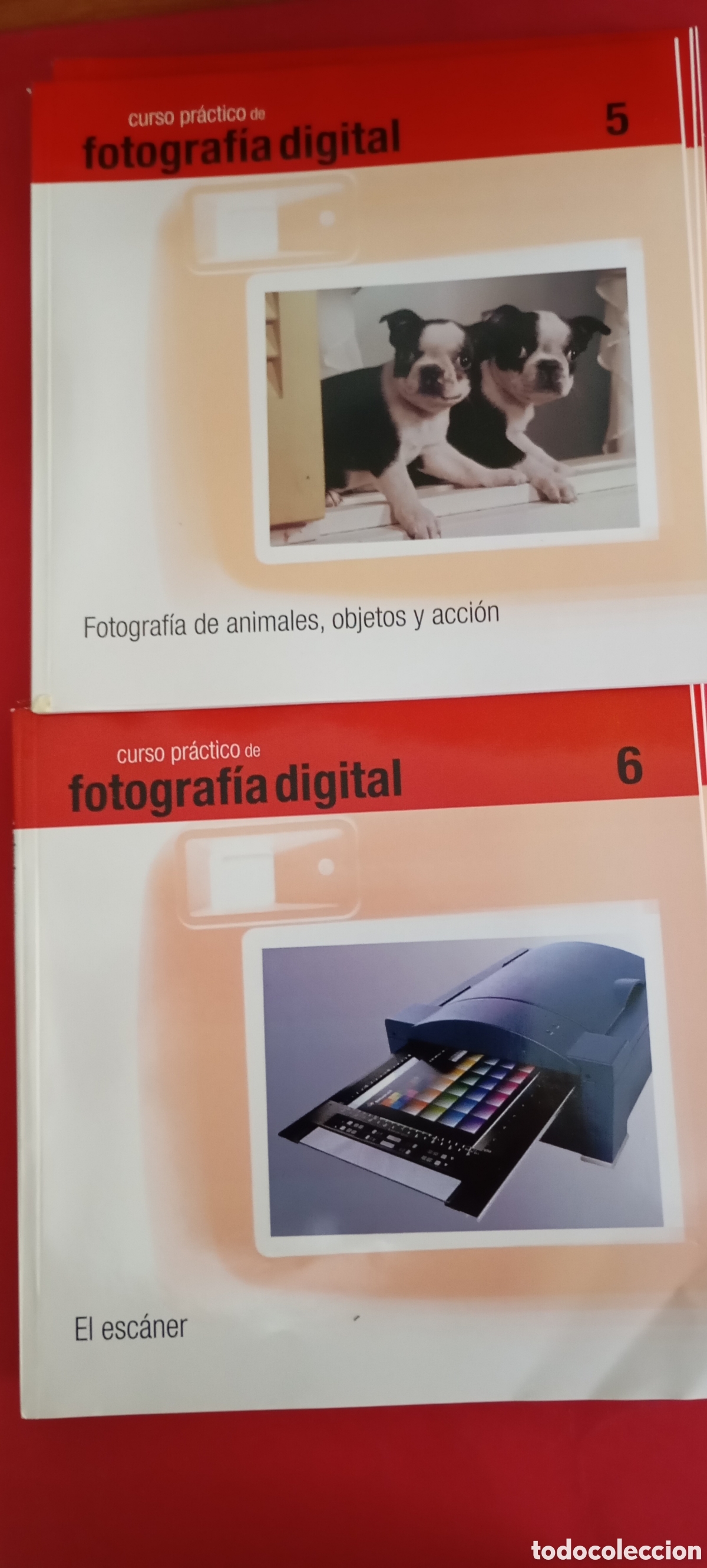 C&aacute;mara de fotos: Curso pr&aacute;ctico de fotograf&iacute;a digital - Foto 4