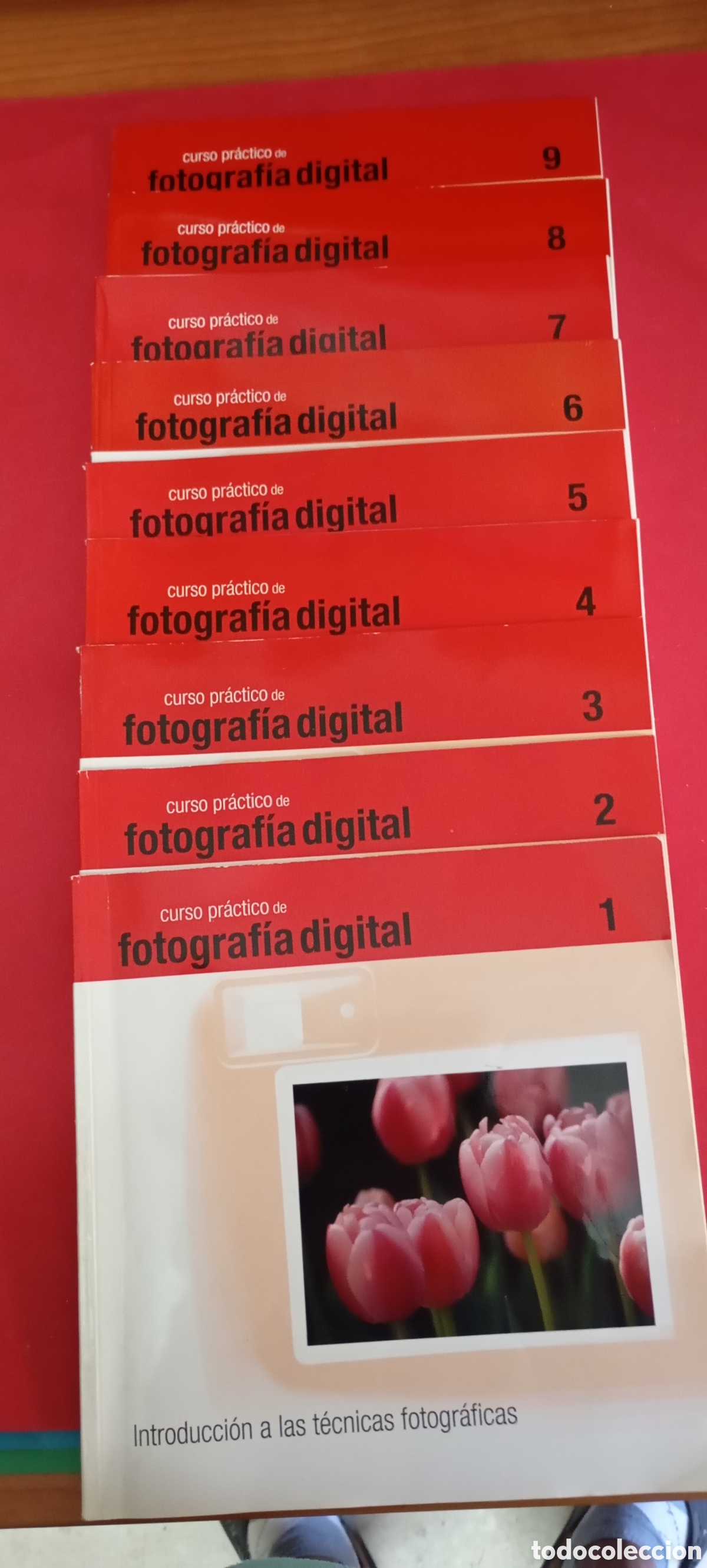 C&aacute;mara de fotos: Curso pr&aacute;ctico de fotograf&iacute;a digital