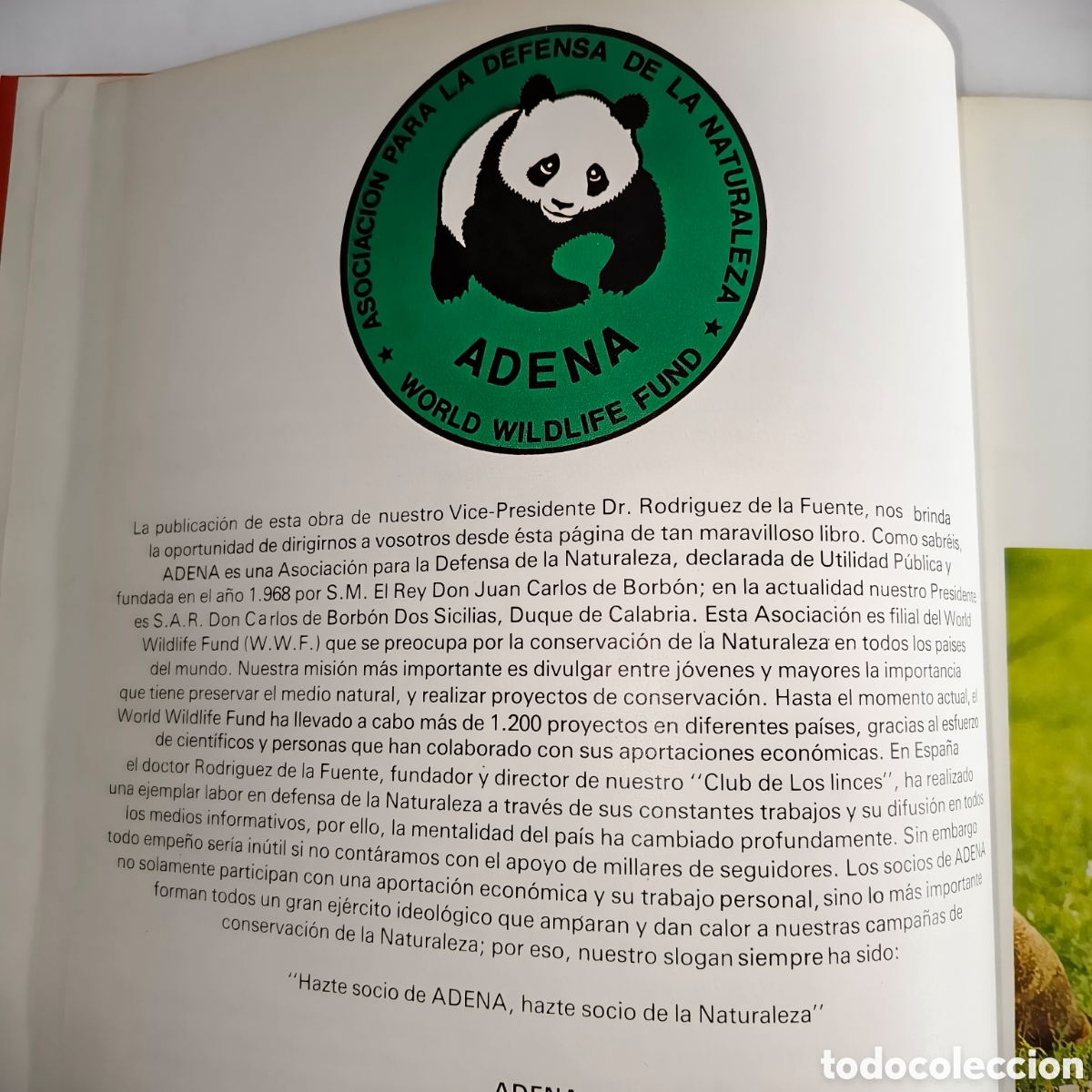 C&aacute;mara de fotos: Libro LOS ANIMALES En Su Medio Ambiente - Foto 6