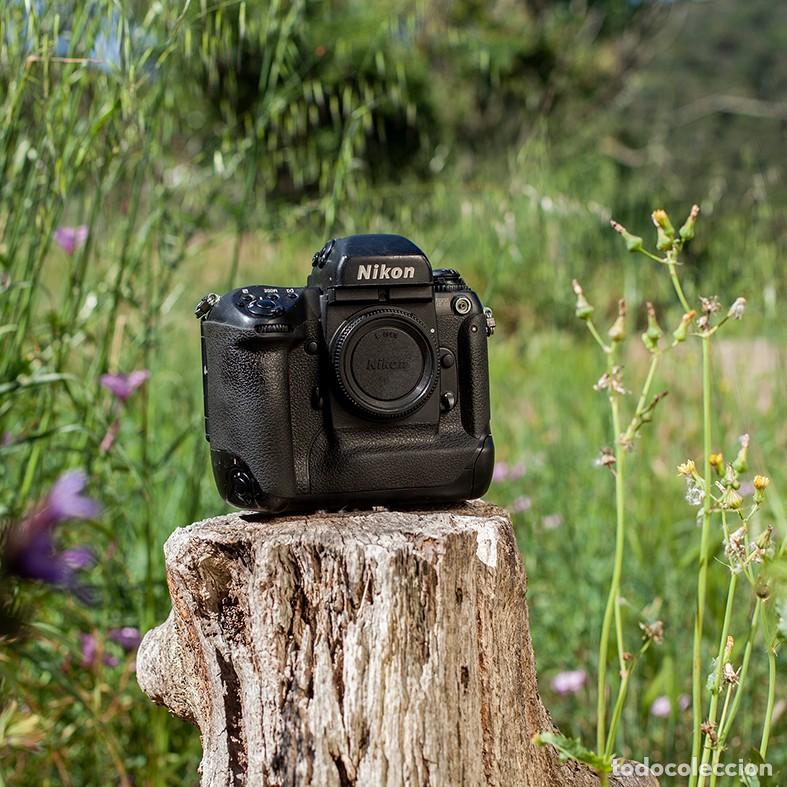 C&aacute;mara de fotos: Varios NIKON anal&oacute;gico