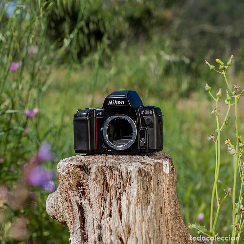 C&aacute;mara de fotos: Varios NIKON anal&oacute;gico - Foto 4