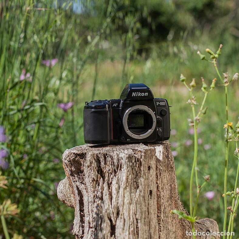 C&aacute;mara de fotos: Varios NIKON anal&oacute;gico - Foto 5