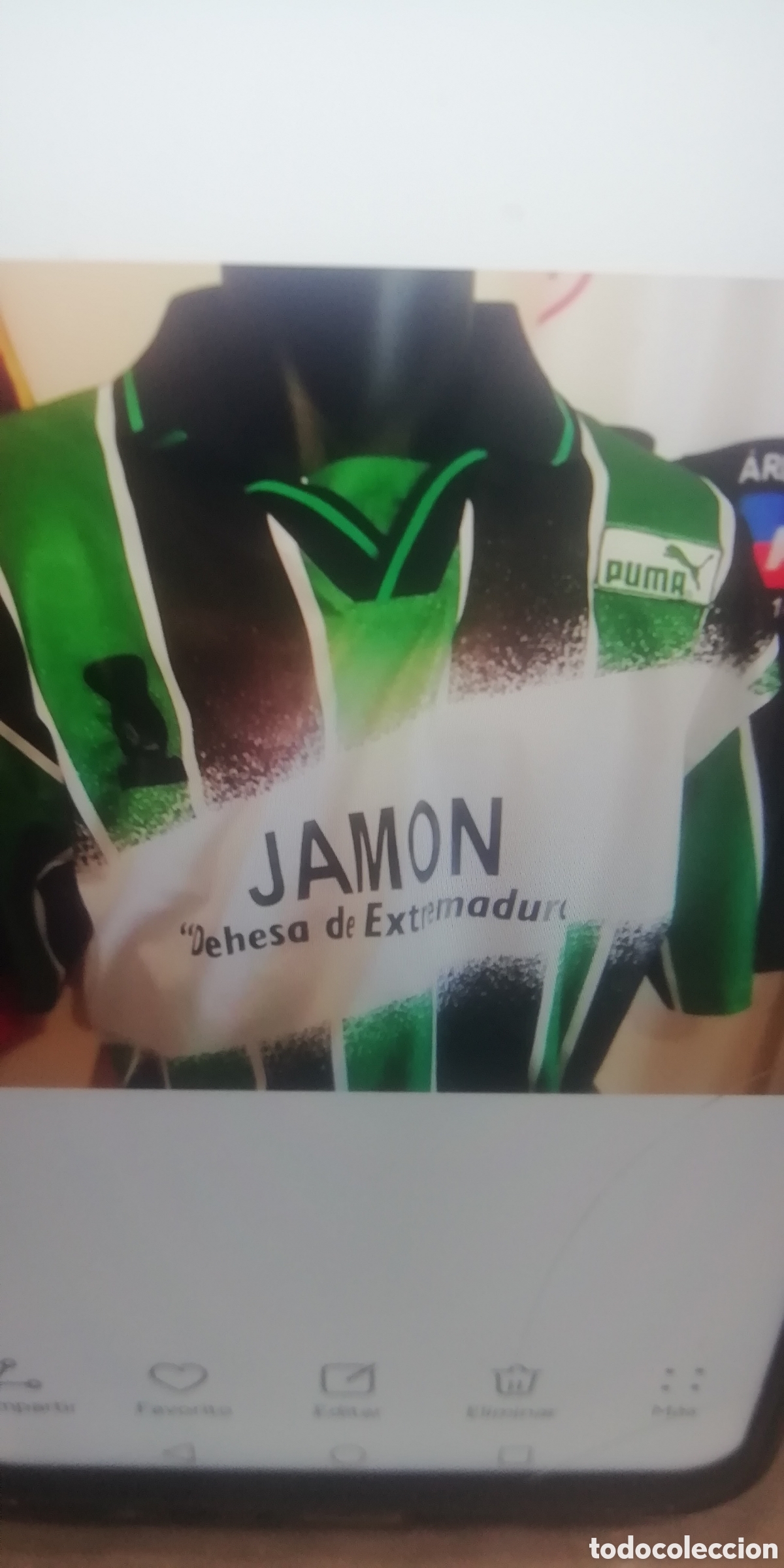 Coleccionismo deportivo: Camiseta merida mono Montoya. Puma