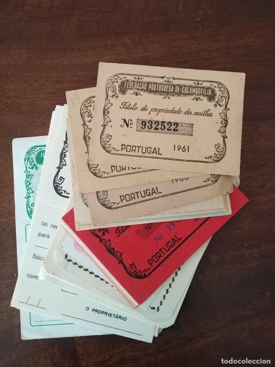Sports collectibles: Colecci&oacute;n de 37 t&iacute;tulos de anillas columb&oacute;filas portuguesas. Distintas. Columbofilia.