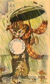 Cartas comerciales: Propaganda Sero-Formol marca Lacer - Foto 2