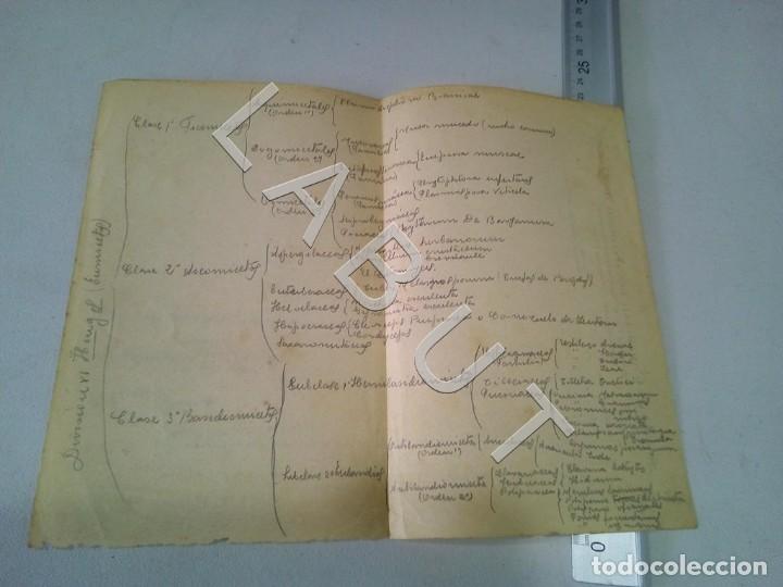 Cartas comerciales: NITRATO DE CHILE HOJA CON MEMBRETE C34 - Foto 2