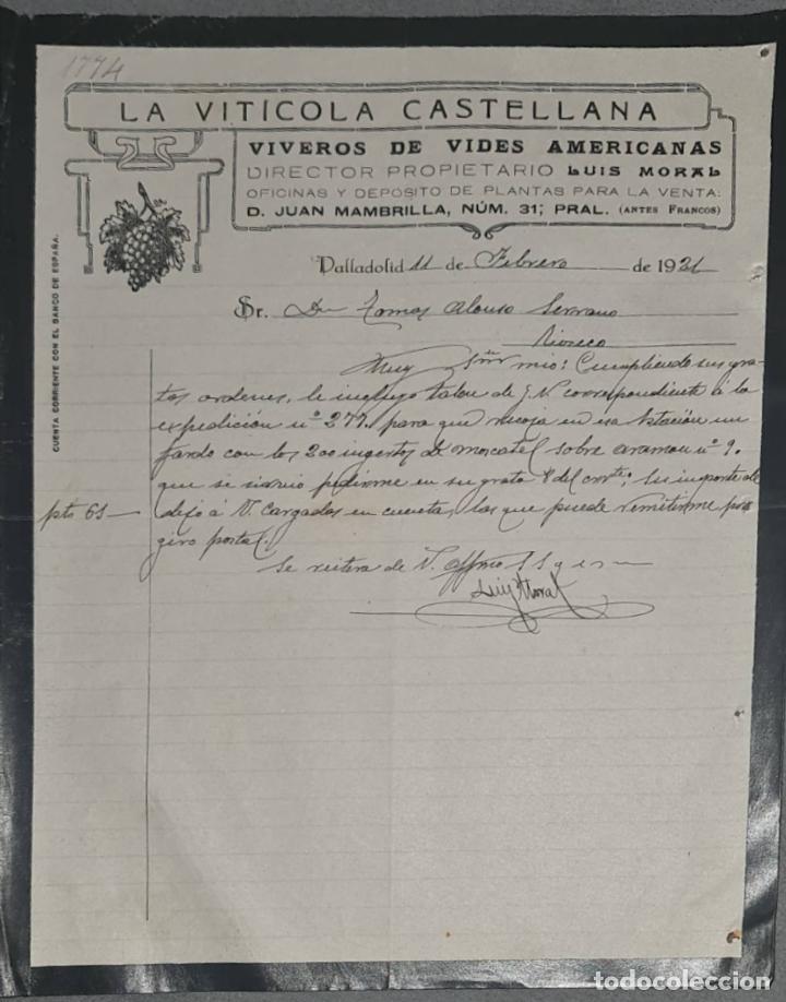 Cartas comerciais: La Vit&iacute;cola Castellana. Viveros de vides Americanas. Valladolid. Espa&ntilde;a 1921